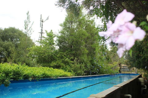 Rosebank Homestead And Farmstay - Local Tourism 3