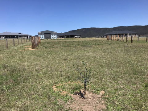 Rosehill Vines - Accommodation Australia 3