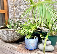 SEAeSCAPE Apollo Bay - Accommodation Australia
