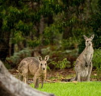 Secura Lifestyle Countryside Kalaru - Accommodation Australia