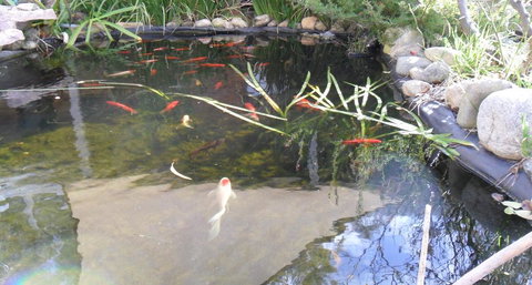 Settlement Motor Inn - Accommodation Australia 2