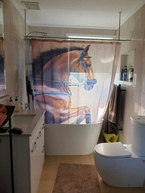 Silverbirch Cottage - Accommodation Australia 3