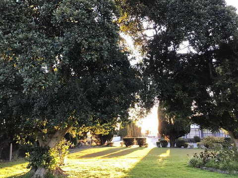 Sir Francis Drake - Australia Shopping 2