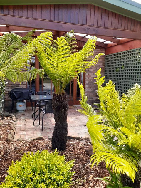 Sleepy Hollow Hideout (Hidout 2) - Accommodation Australia 1