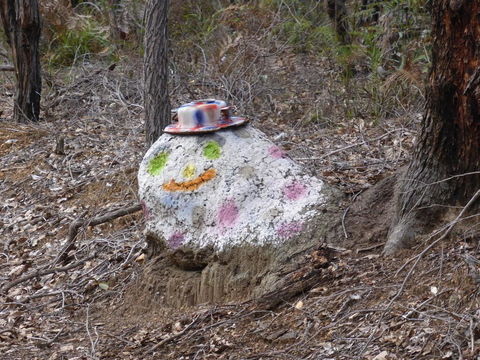 Splendid Wren Cottage - Accommodation Australia 3