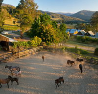 Spring Spur - Local Tourism