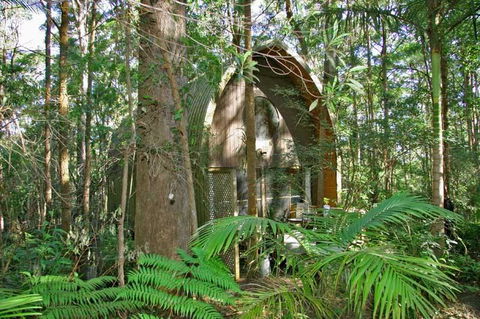 Springbrook Mountain Chalets - Accommodation Australia 0