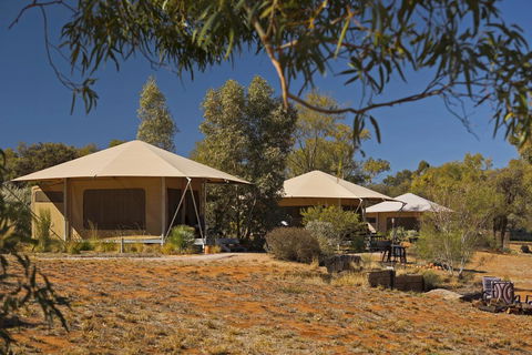 Squeakywindmill Boutique Tent B&B - Accommodation Australia 0