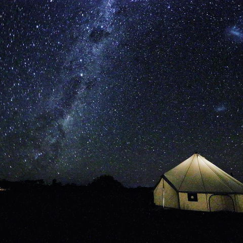 Starfields Luxury Camping - Australia Shopping 3