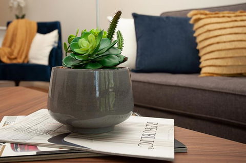 STAY&CO North Sydney Crows Nest - Local Tourism 1