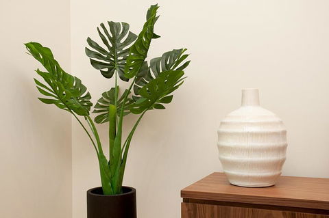 STAY&CO North Sydney Crows Nest - Local Tourism 2