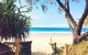Steps From Mudjimba Beach 3 BR Apt Sunshine Coast With WIFI,Pool,Parking - thumb 0