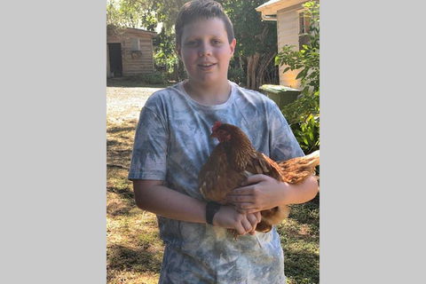 Stunning Queenslander - Accommodation Australia 2