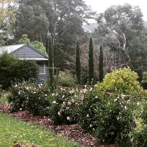 Summerhill Farm B&B - Accommodation Australia 3