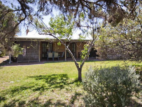 Tea Tree - Local Tourism 1