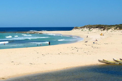 Tea Tree - Local Tourism 2