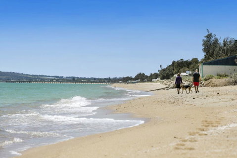 THALASSA HOUSE COASTAL RETREAT DROMANA - Accommodation Australia 2