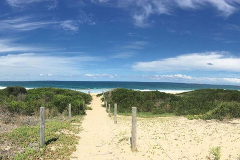 The Beach Shack - Local Tourism 1