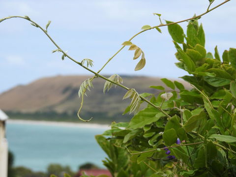 Ellie\'s Cottages - Accommodation Australia 3