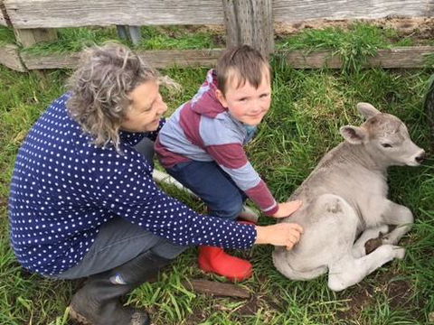 Ellie\'s Cottages - Accommodation Australia 41