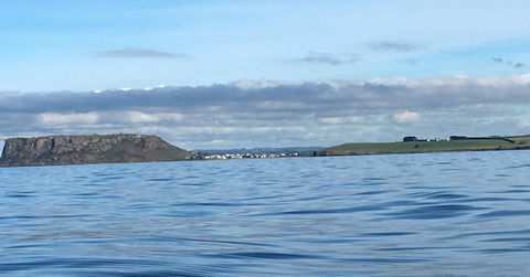 Ellie\'s Cottages - Accommodation Australia 8