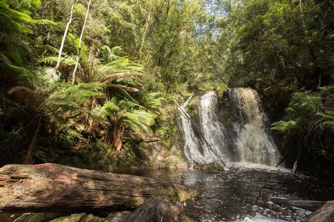 Strahan Village - Local Tourism 27