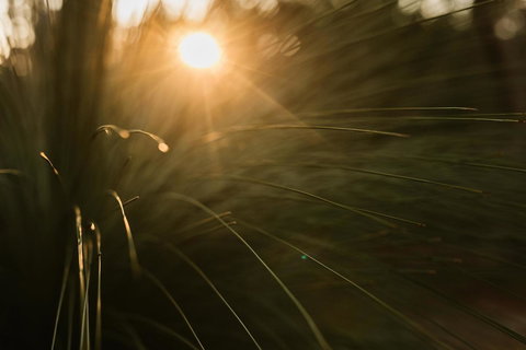 Bay Of Fires Bush Retreat - Accommodation Australia 26