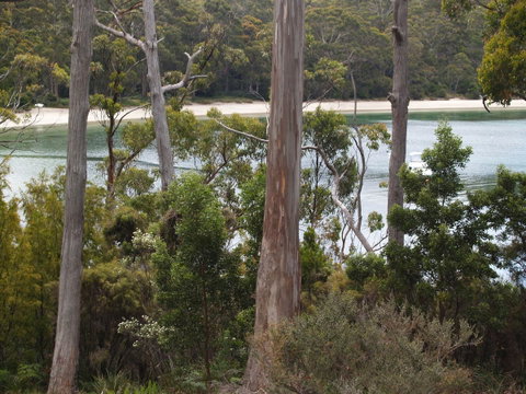 Stewarts Bay Lodge - Accommodation Australia 23