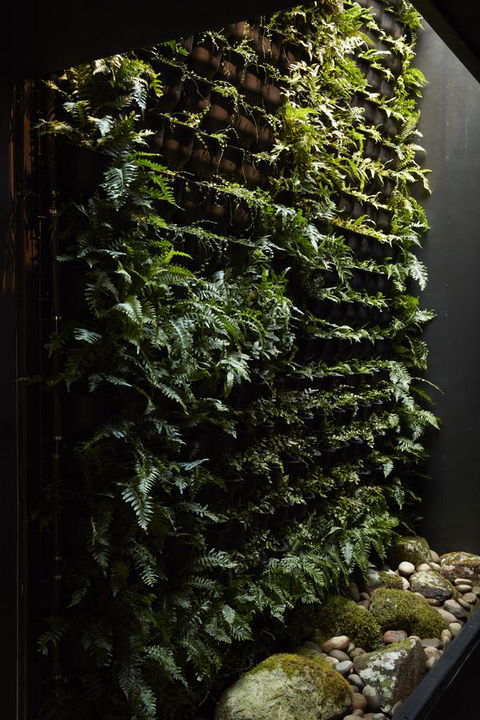 Moss Hotel - Accommodation Australia 2