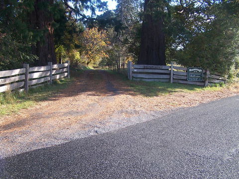 Drumreagh Cabins - Accommodation Australia 7
