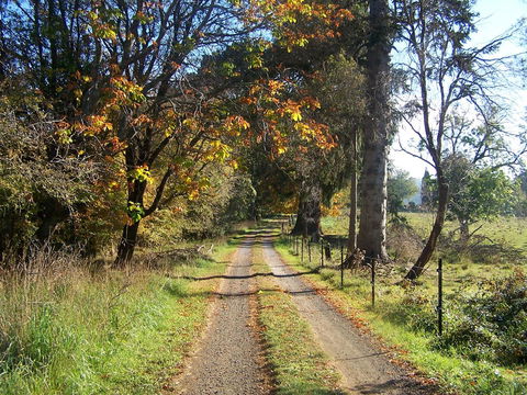 Drumreagh Cabins - Accommodation Australia 6