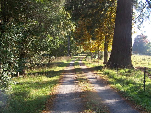 Drumreagh Cabins - Accommodation Australia 5