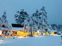 Book Cradle Mountain Accommodation Vacations Bed n Breakfasts Bed n Breakfasts