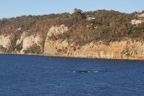 Beachside Taroona With Spa - Accommodation Australia 29