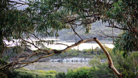 KINGFISHER COTTAGE Beachfront At The Binalong Bay - Accommodation Australia 17