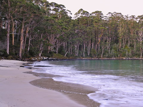 NRMA Port Arthur Holiday Park - Accommodation Australia 41