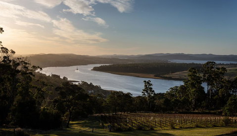 Domescapes In The Vines - Accommodation Australia 10