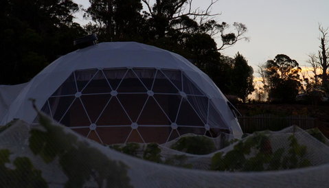Domescapes In The Vines - Accommodation Australia 12