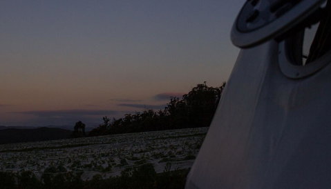 Domescapes In The Vines - Accommodation Australia 4