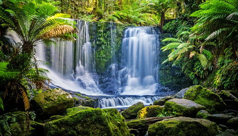 Domescapes In The Vines - Accommodation Australia 13