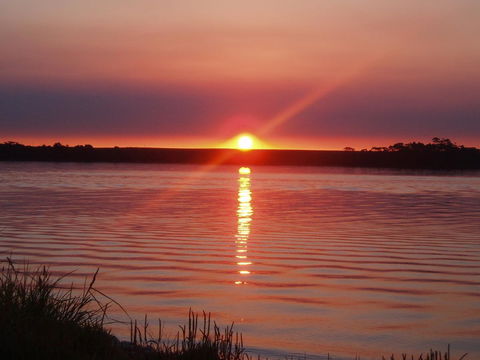 Regatta Point Tavern & Holiday Villas - Accommodation Australia 41