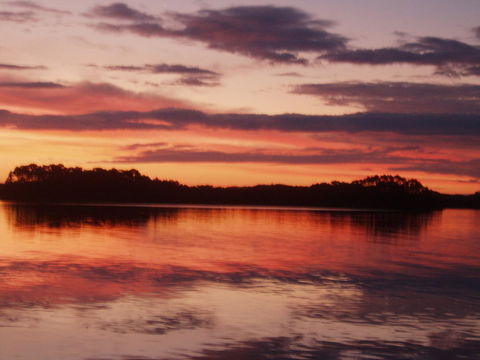 Regatta Point Tavern & Holiday Villas - Accommodation Australia 27