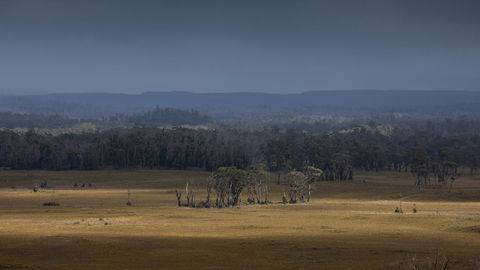 Arthur Riverfront And Sea Lodge Downstream - Accommodation Australia 42