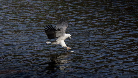 Arthur Riverfront And Sea Lodge Downstream - Accommodation Australia 38