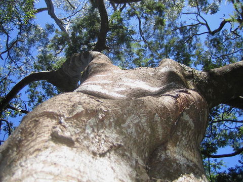 Arthur Riverfront And Sea Lodge Downstream - Accommodation Australia 32