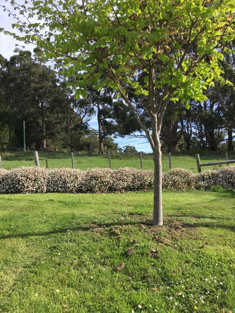 Nextdoor@portarthur - Accommodation Australia 17