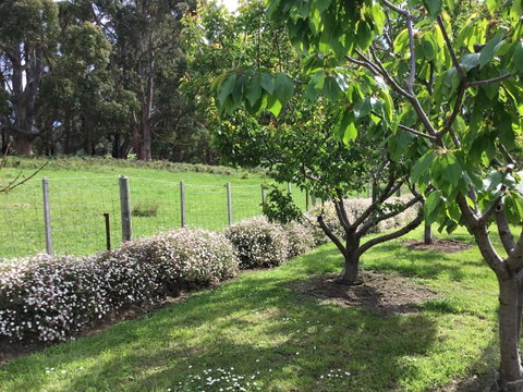 Nextdoor@portarthur - Accommodation Australia 18