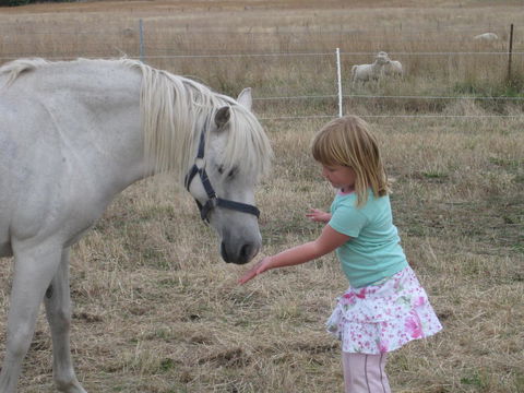 Taras Richmond Farmstay - Accommodation Australia 19