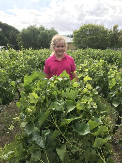 Taras Richmond Farmstay - Accommodation Australia 11