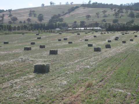 Taras Richmond Farmstay - Accommodation Australia 18